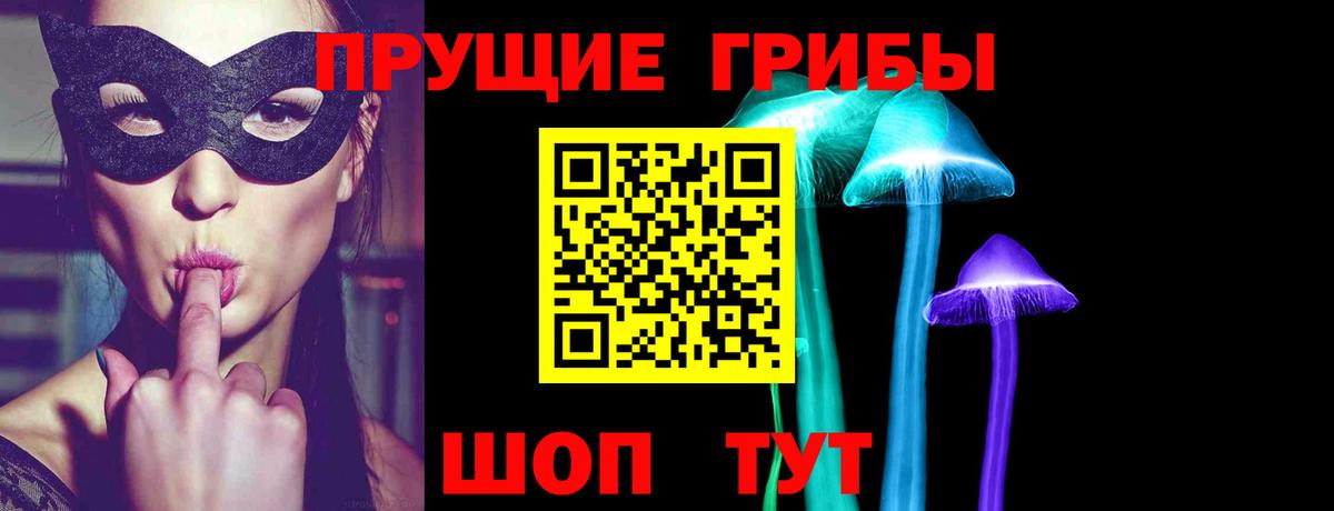 Таганрог  Галлюциногенные грибы Cubensis  Вход с VPN 